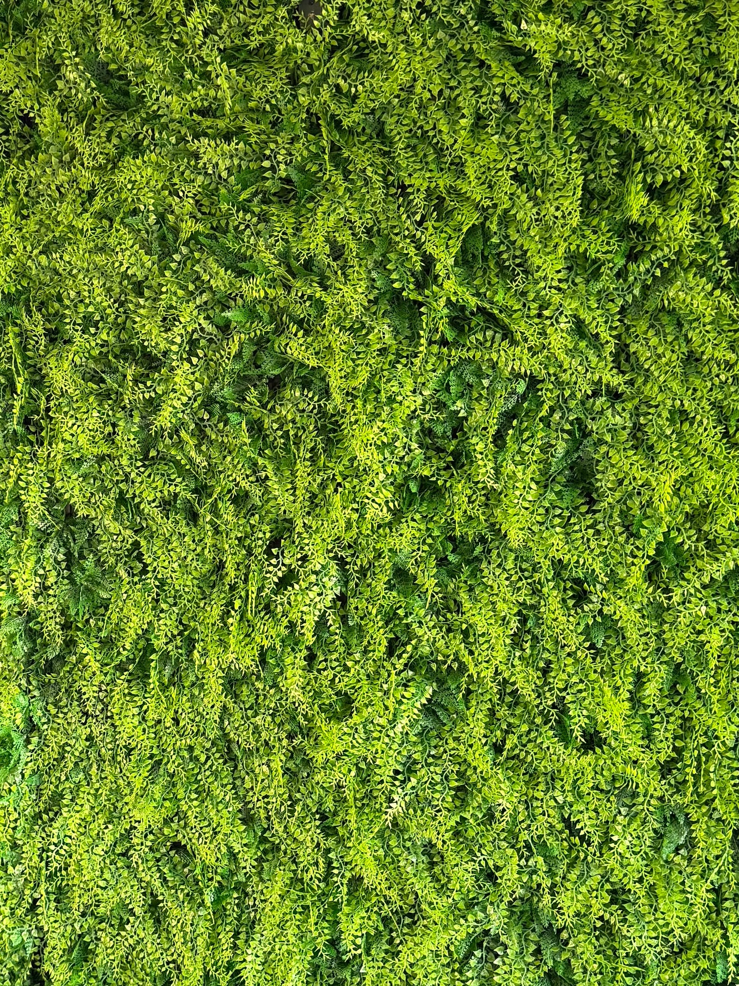 8’x8’ Green Grass Wall